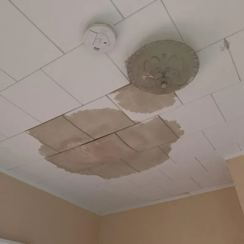 Ceiling Water Damage Repair in Tarrant County, TX