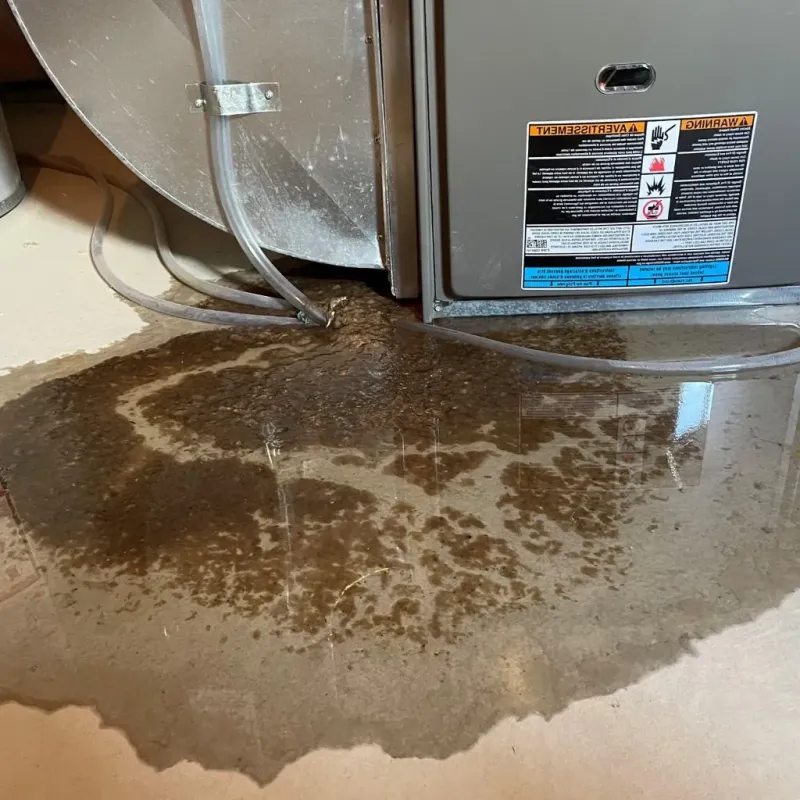 Pipe Burst and Leak Restoration in Tarrant County, TX