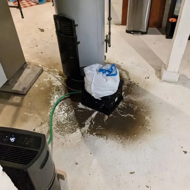 Sewage Backup Cleanup Service in Tarrant County, TX